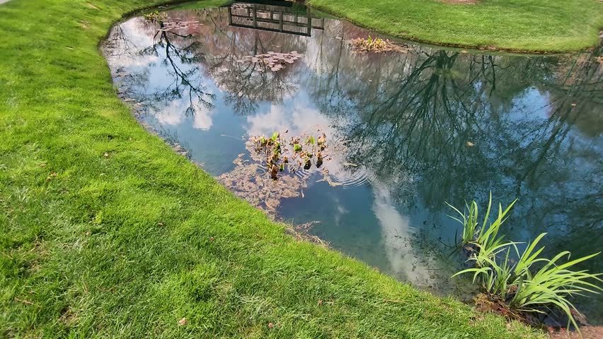tilt footage of a lake with an arched bridge over the water and lush green grass, colorful flowers, red trees and people walking with blue sky and clouds at Gibbs Gardens in Ball Ground Georgia USA