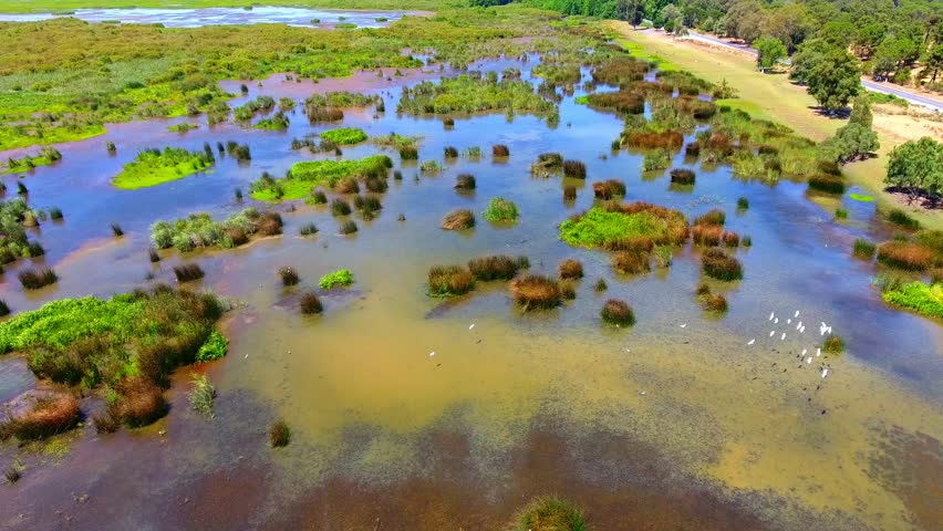 aerial shot of the wetland el kala Algeria