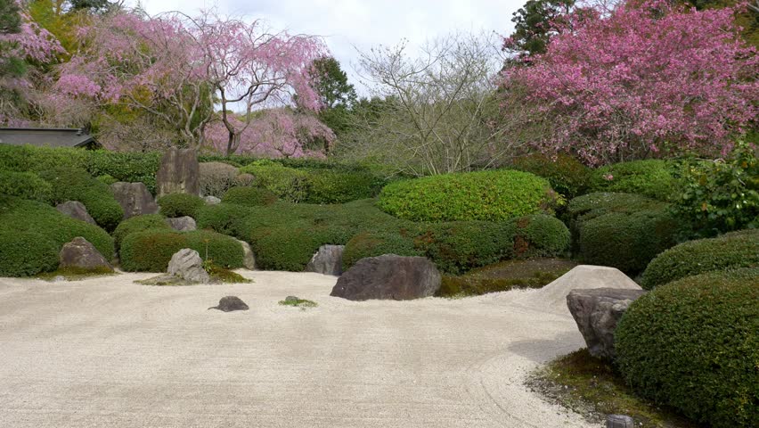 Japanese traditional zen garden in spring, rock garden in Japan, buddhism in Japan, tranquil garden landscape. High quality 4k footage Royalty-Free Stock Footage #1101840701