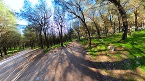 Spherical panorama of a park or forest, rabbit hole of the planet. Walking through the forest, land, top down view. walk. European landscape panorama from above Palermo, Sicily Italy