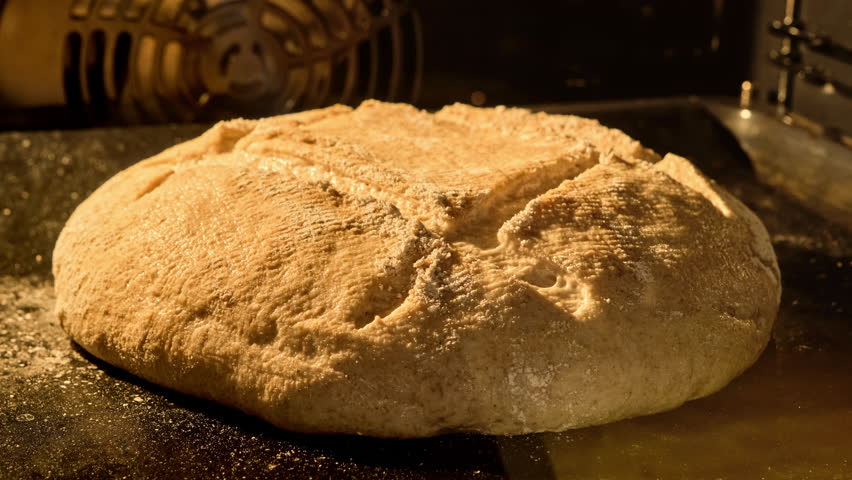 Homemade bread baking in oven. Organic fresh bread. Timelapse. Loaf is raised and baked. Baker bakes food at bakery. Food concept. Close-up in 4K, UHD Royalty-Free Stock Footage #1101847083
