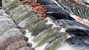 Close-up of fresh raw fish in ice on the counter in a grocery store. Showcase of the Fish section in the supermarket. a wide range of fresh fish. High quality FullHD footage