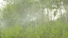 Slow motion 4K Sprinkler watering the garden.
