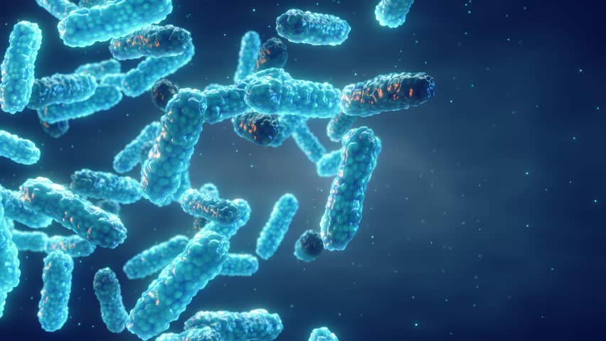 Antimicrobial Resistance (AMR) occurs when bacteria mutate over time and no longer respond to medicines. Genetic mutation in bacteria leading to antibiotic resistance Royalty-Free Stock Footage #1101858109