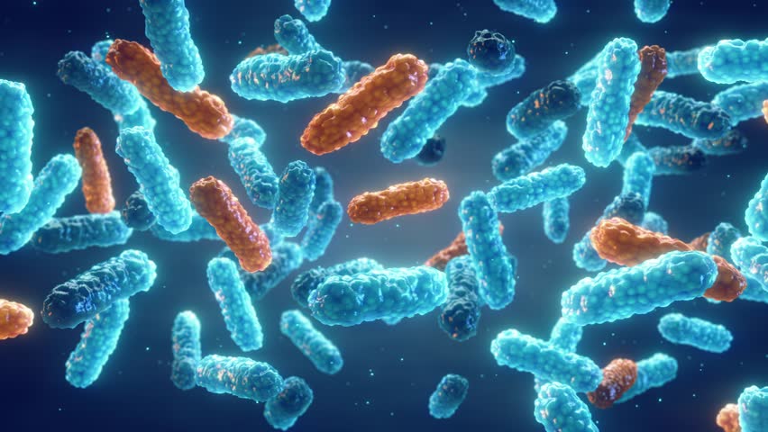 Antimicrobial Resistance (AMR) occurs when bacteria mutate over time and no longer respond to medicines. Genetic mutation in bacteria leading to antibiotic resistance | Shutterstock HD Video #1101858109