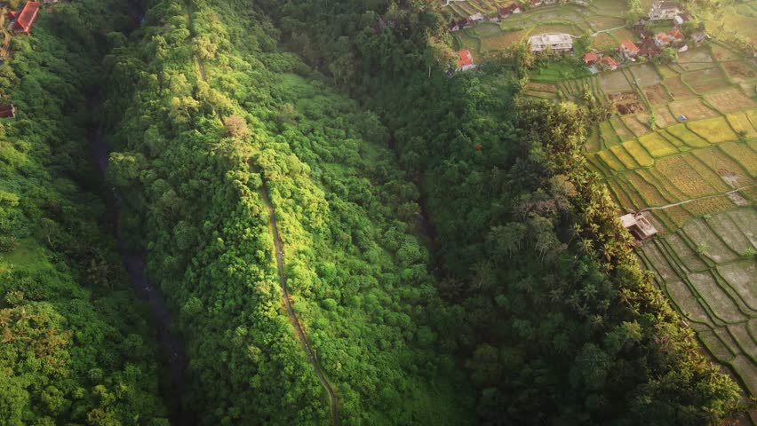 Closeup aerial shot of jogging track, surrounded by rice fields and nature during sunrise. Campuhan Ridge Walk, Ubud, Bali, Indonesia. Drone Background Tourist Destination, Active Tourism, Sport | Shutterstock HD Video #1101862117