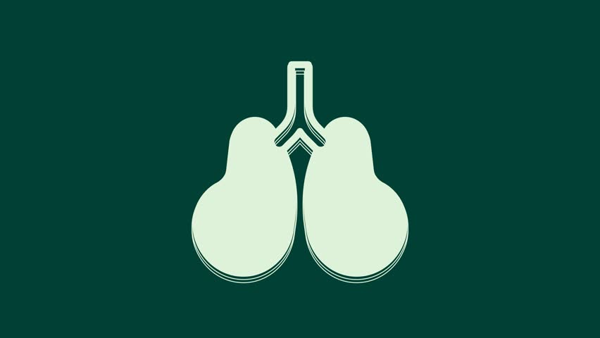 White Lungs icon isolated on green background. 4K Video motion graphic animation.