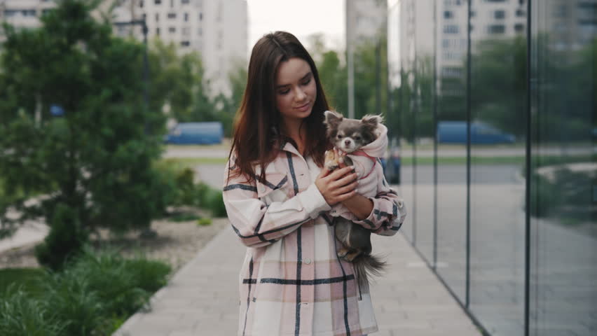Caucasian woman on a walk with a small chihuahua holding him on the hands, the pet wearing stylish clothes for little dogs and looks around. People and dogs friendship concept | Shutterstock HD Video #1101865303