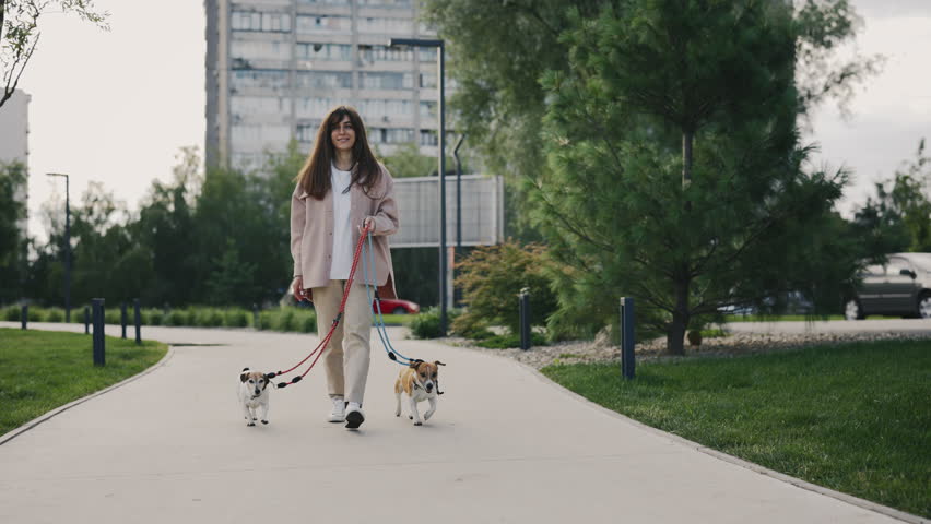 Caucasian Woman on a Walk with Two Small Jack Russells and Looks Around. Girl Walks Dogs Near the House and Looks Around the Neighborhood. People and Dogs Friendship Concept | Shutterstock HD Video #1101865311