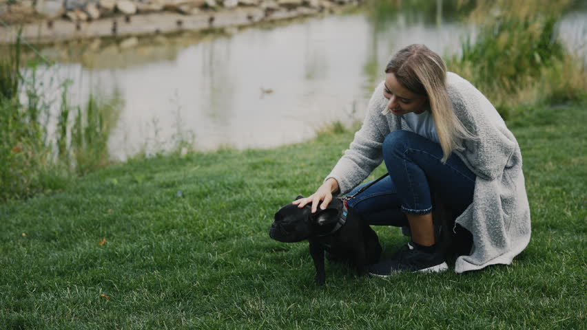 Caucasian Owner in a New Modern Park Playing with Her French Bulldog. Woman Stroking Her Pet Near the Local Lake on the Grass. People and Dogs Friendship Concept | Shutterstock HD Video #1101865319