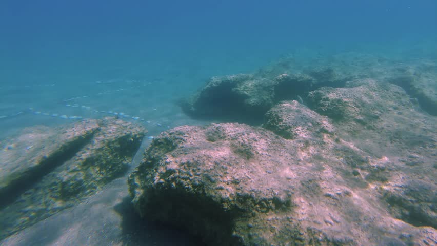  Beautiful view of seabed while snorkeling with big stones and colorful fishes. Greece. | Shutterstock HD Video #1101866591