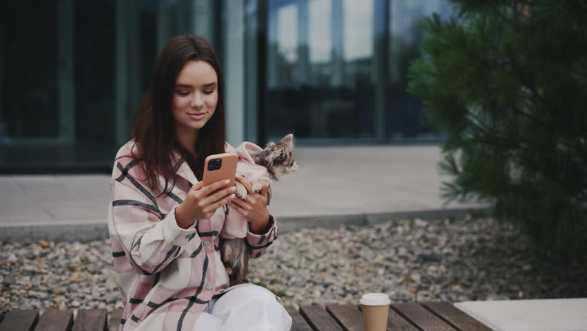 Beautiful Young Woman Sitting on a Bench with Chihuahua Holding Him on the Hands, Using Smartphone, Texting App with Friends. Girl with a Small Dog Wearing Stylish Clothes | Shutterstock HD Video #1101867479