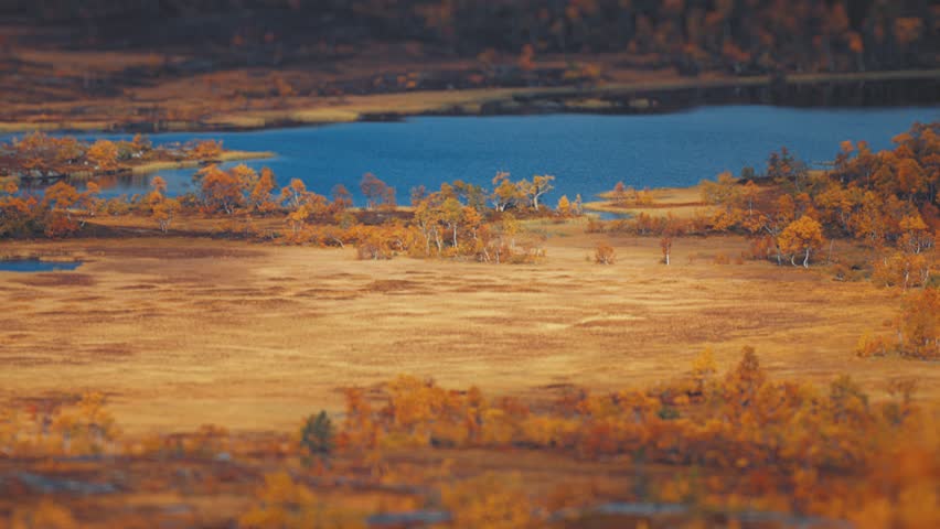 Shallow bog lakes in the marshland landscape in Norwegian tundra Royalty-Free Stock Footage #1101867931
