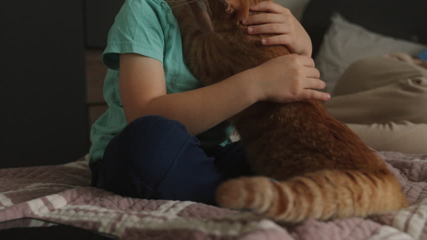 Little boy having fun with his kitten sitting on the bed, cat licking his face. Domestic cat. Friendship concept. Happy family kid concept. Royalty-Free Stock Footage #1101870555