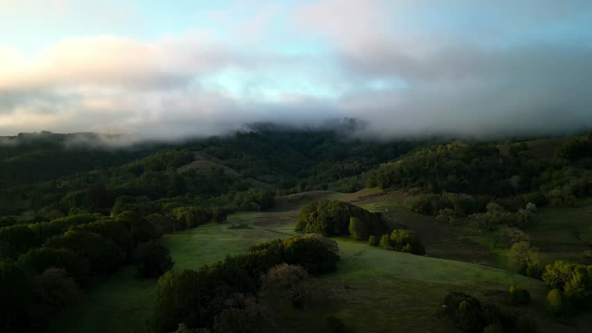 Morning fog and light on green rolling hills in Northern California at sunrise | Shutterstock HD Video #1101872027