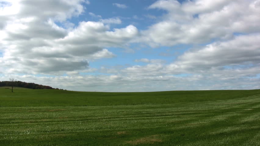 Open Landscape. Green Grass and Blue Skies