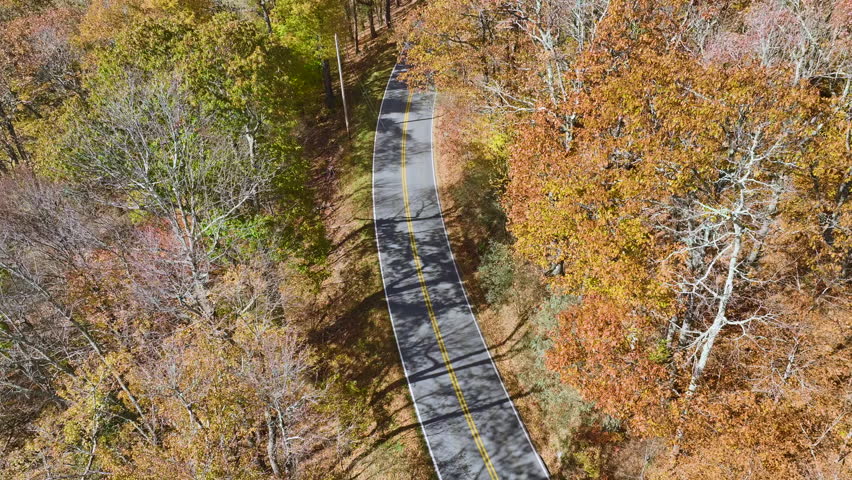 Aerial view of a car driving on scenic Blue Ridge Parkway road in Appalachian mountains winding between yellow woods in fall season. Traveling in North Carolina