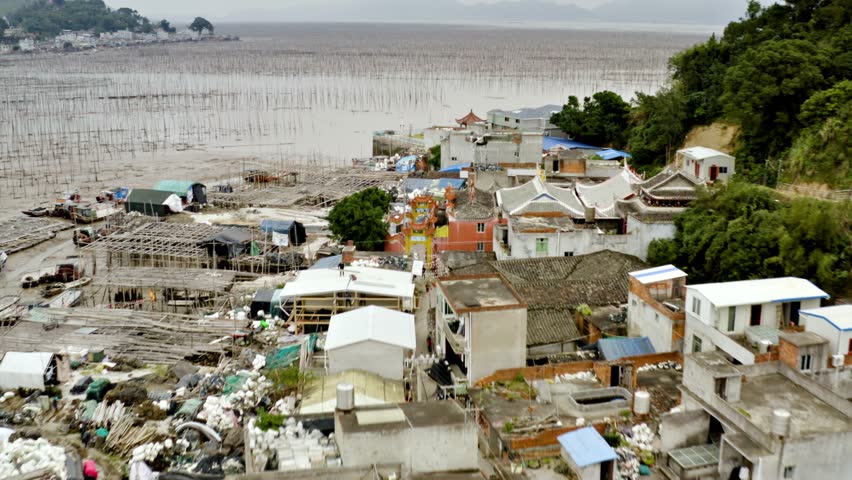 Aerial shot of small fishing town on the coast of Xiapu County in China. The bamboo poles are for drying seaweed.