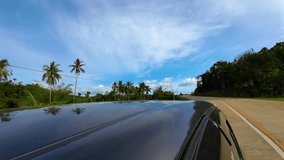 Tropical Highway - Back View from Car Roof - Passing Palm Trees - Side CU
