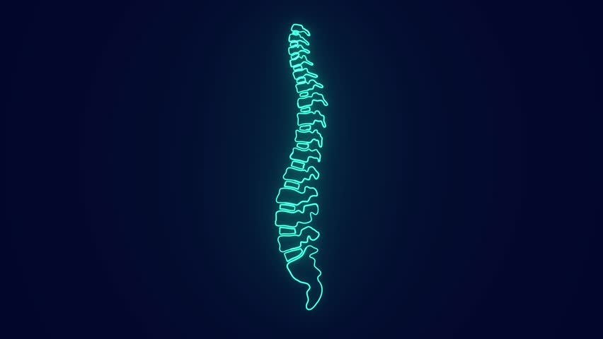 Human body anatomy spine structure medical science animation | Shutterstock HD Video #1101883489