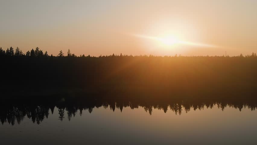 Sunrise over the lake. Sun over the edges of the forest | Shutterstock HD Video #1101885095