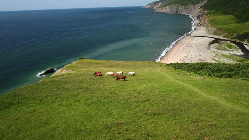 Stunning Drone Footage of Cape Breton