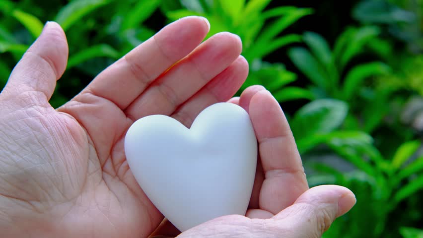 Close-up female hands holding white heart model, natural green foliage background, Valentine's Day, concept health, cardiology, day medic, Healthy lifestyle, self love and body care | Shutterstock HD Video #1101892817