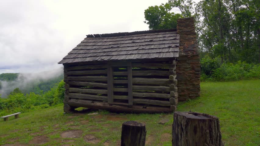 Log settler