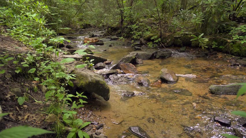 Stream flowing near Wigwam Falls at Yankee Horse Ridge on Blue Ridge Parkway between Waynesboro and Roanoke, Virginia. 