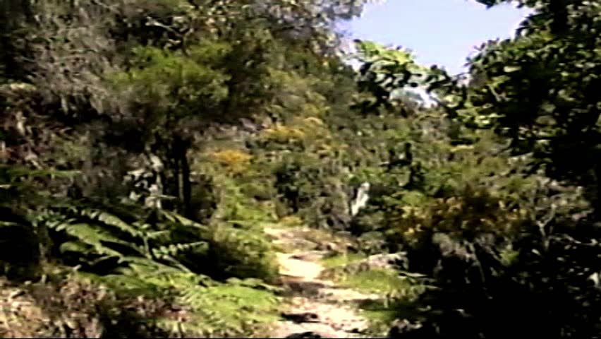 Retro VHS footage, Scan from vintage VHS-C Betacam. Retro camera 8 mm. Old film. Memories. Retro VHS Tape Effect Home Video Concept. Young men hiking in the mountains. Adventure concept. Artistic hike Royalty-Free Stock Footage #1101894689