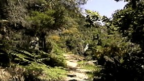 Retro VHS footage, Scan from vintage VHS-C Betacam. Retro camera 8 mm. Old film. Memories. Retro VHS Tape Effect Home Video Concept. Young men hiking in the mountains. Adventure concept. Artistic hike