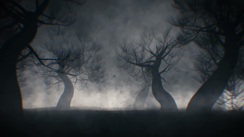 Halloween forest background with mysterious forest and fog for horror or halloween projects | Shutterstock HD Video #1101900109