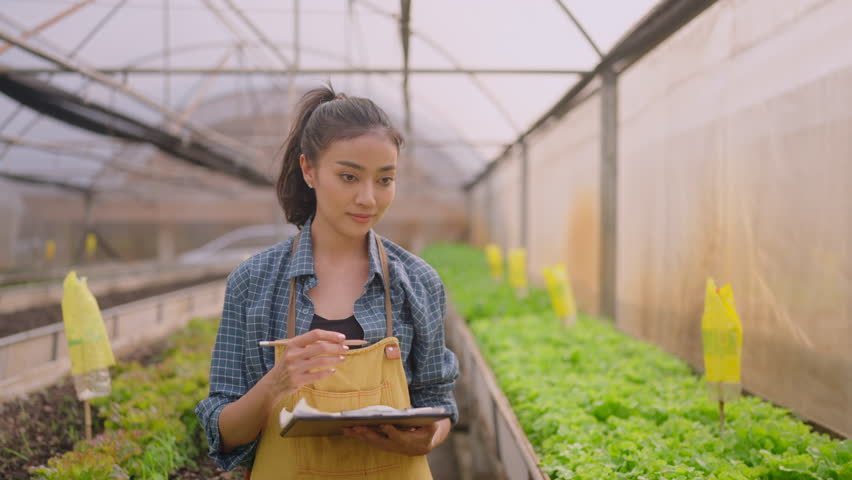 Asian woman holding clipboard document for check quality data of vegetable in organic farm, female inspect growth field cultivated of agriculture and business industry, young owner entrepreneur farmer