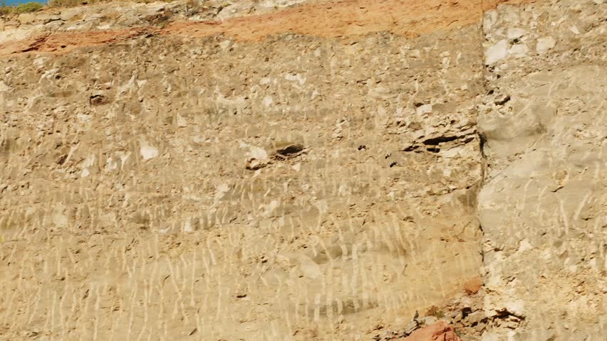 Pigeons landing on geological cliff side in Tenerife island, motion view