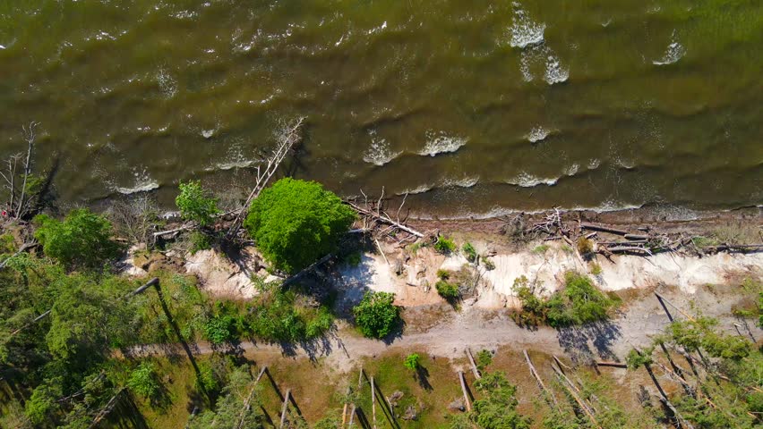 Aerial top down view of shoreline 