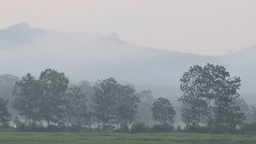 Blurred 4K video background of the morning atmosphere as the sun is rising from the horizon, the wind blows through the blurry fog during a nature trip.