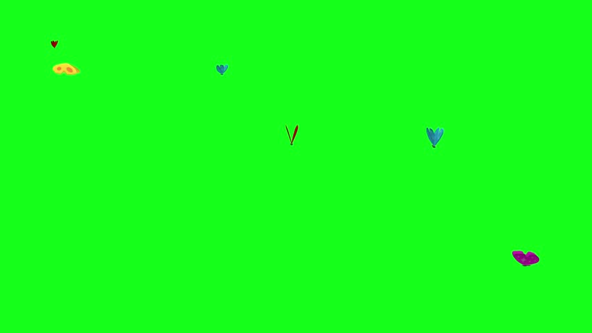 Colorful Butterflies Flying in Circle On Green Screen Matte Background 4k Animation Stock Footage No Flying Off The Screen