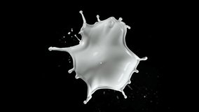 Super Slow Motion Shot of Milk Splash Flying Towards Camera Isolated on Black at 1000fps. - Powered by Shutterstock - Get 15% off with code: PIKWIZARD15