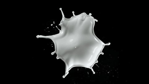 Super Slow Motion Shot of Milk Splash Flying Towards Camera Isolated on Black at 1000fps. วิดีโอสต็อก