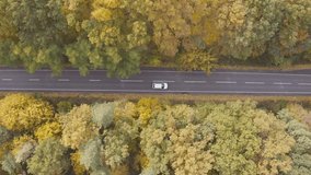 Aerial shot of white car riding through rural road at autumn. Auto driving at countryside route in yellow autumnal forest. SUV moving through scenic landscape way at beautiful fall season. Top view - Powered by Shutterstock - Get 15% off with code: PIKWIZARD15