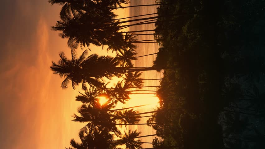Vertical shot of orange cinematic sunset view of the palm trees and the sea, a beam of light shines through the palm trees, aerial shot, vertical video Royalty-Free Stock Footage #1101951197