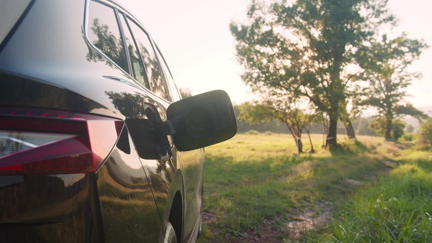 Young man plugging in the charger in a black electric car and going for a walk along a dirt path by the green grove, handheld shot.