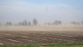 sandstorm over an early wheat crop. precarious weather in agriculture. video 4k.