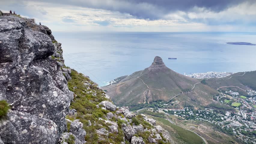 Panorama View to Beautiful Lion