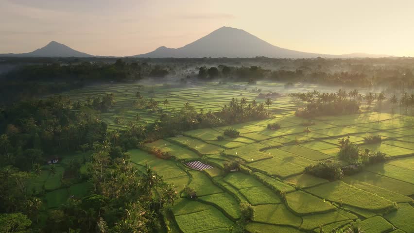 Epic wide shot of majestic volcano Gunung Agung or Mount Agung with foggy rice fields at the foreground in Bali, Indonesia. Cultural Iconic Balinese Landscape 4K Aerial Agriculture Tourism Texture Royalty-Free Stock Footage #1101971023