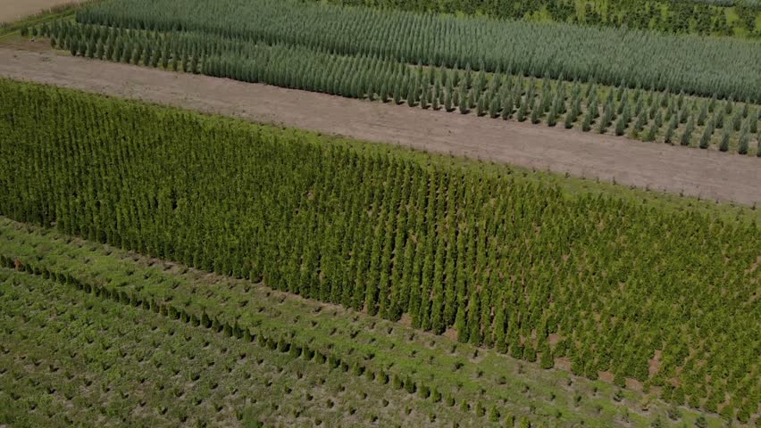 Ornamental plants nursery with solar energy water pump system