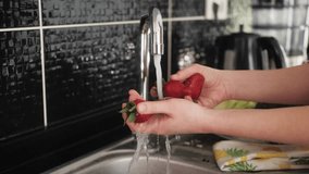 Hands holding and washing sweet fresh strawberry. Organic farming, producing food and crops. Person holding fresh harvest. - Powered by Shutterstock - Get 15% off with code: PIKWIZARD15