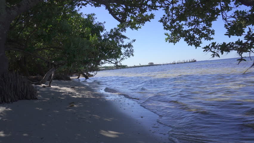 Small waves of Tampa Bay at De Soto National Memorial. Mangrove trees and sand. Park commemorates Hernando de Soto