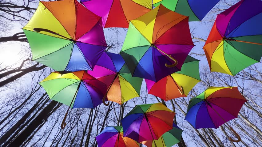 Colorful umbrellas hanging in the forest. Forest path with umbrellas in the sky. Summer decoration and sun protection. Umbrellas in the woods. Trees and ubrellas.