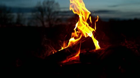 Super slow motion of campfire placed on a meadow. Filmed on high speed cinema camera, 1000fps.: film stockowy